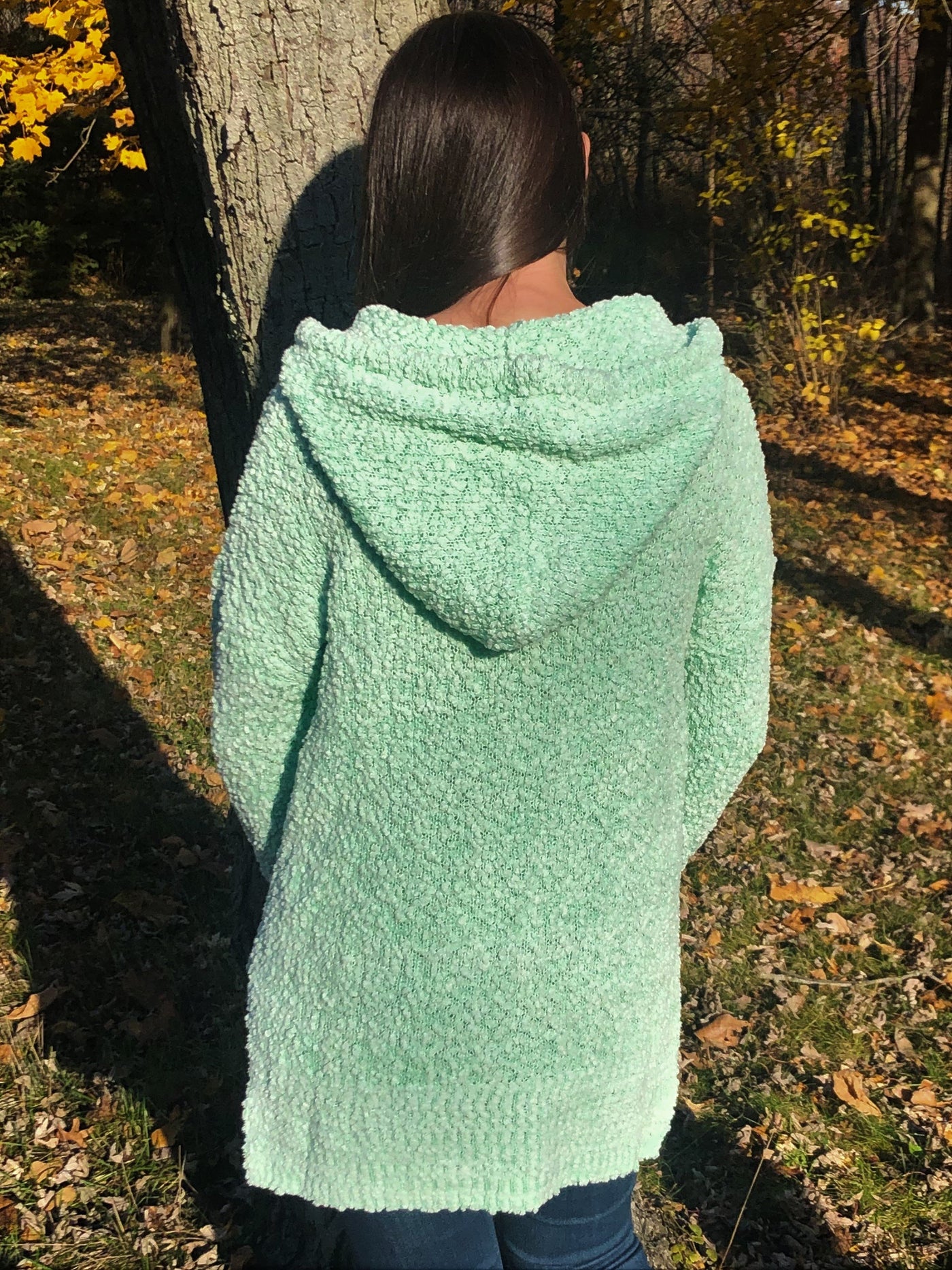 Mint Popcorn Hoodie